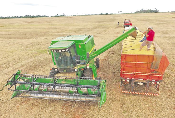 Commodities agr&iacute;colas: Descripci&oacute;n y perspectivas ante un escenario de altas demandas