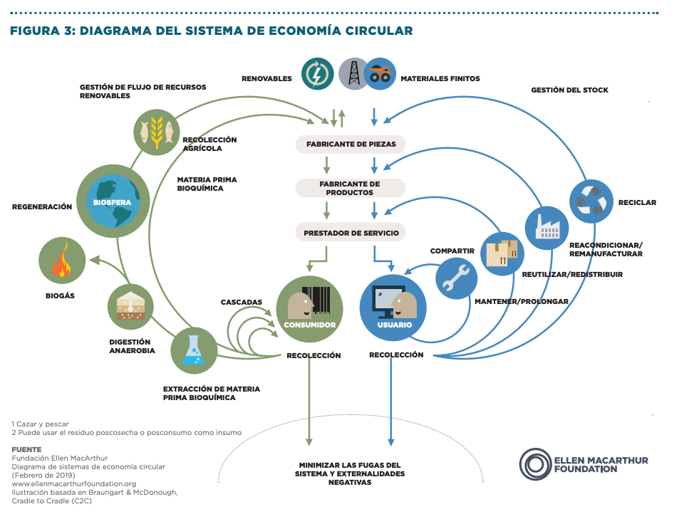 Innovador modelo econ&oacute;mico y su intervenci&oacute;n en los diferentes sectores