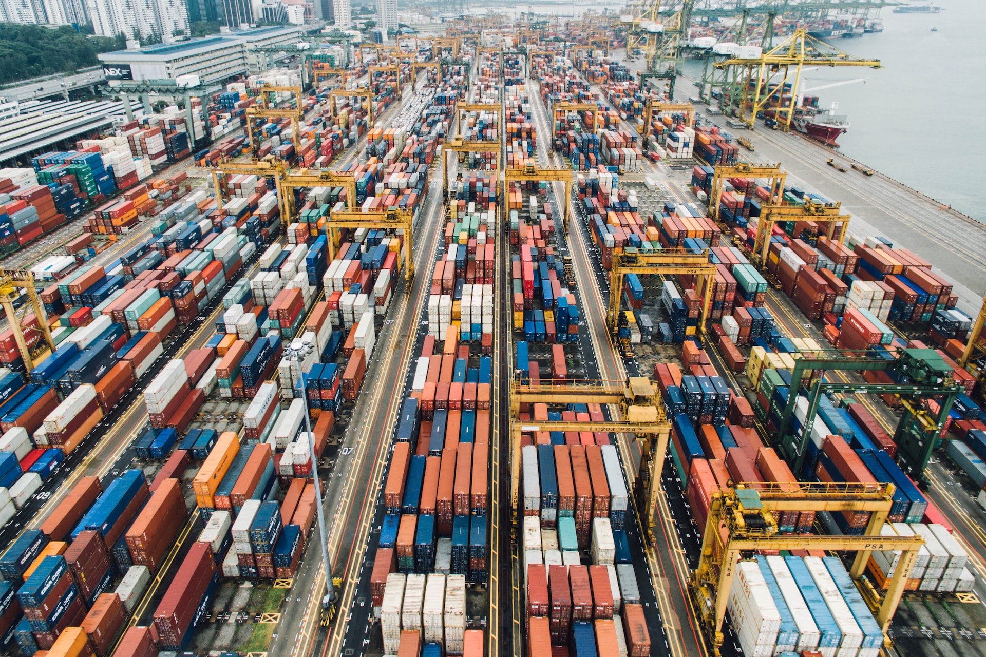 Granos de soja con buen dinamismo en exportaciones