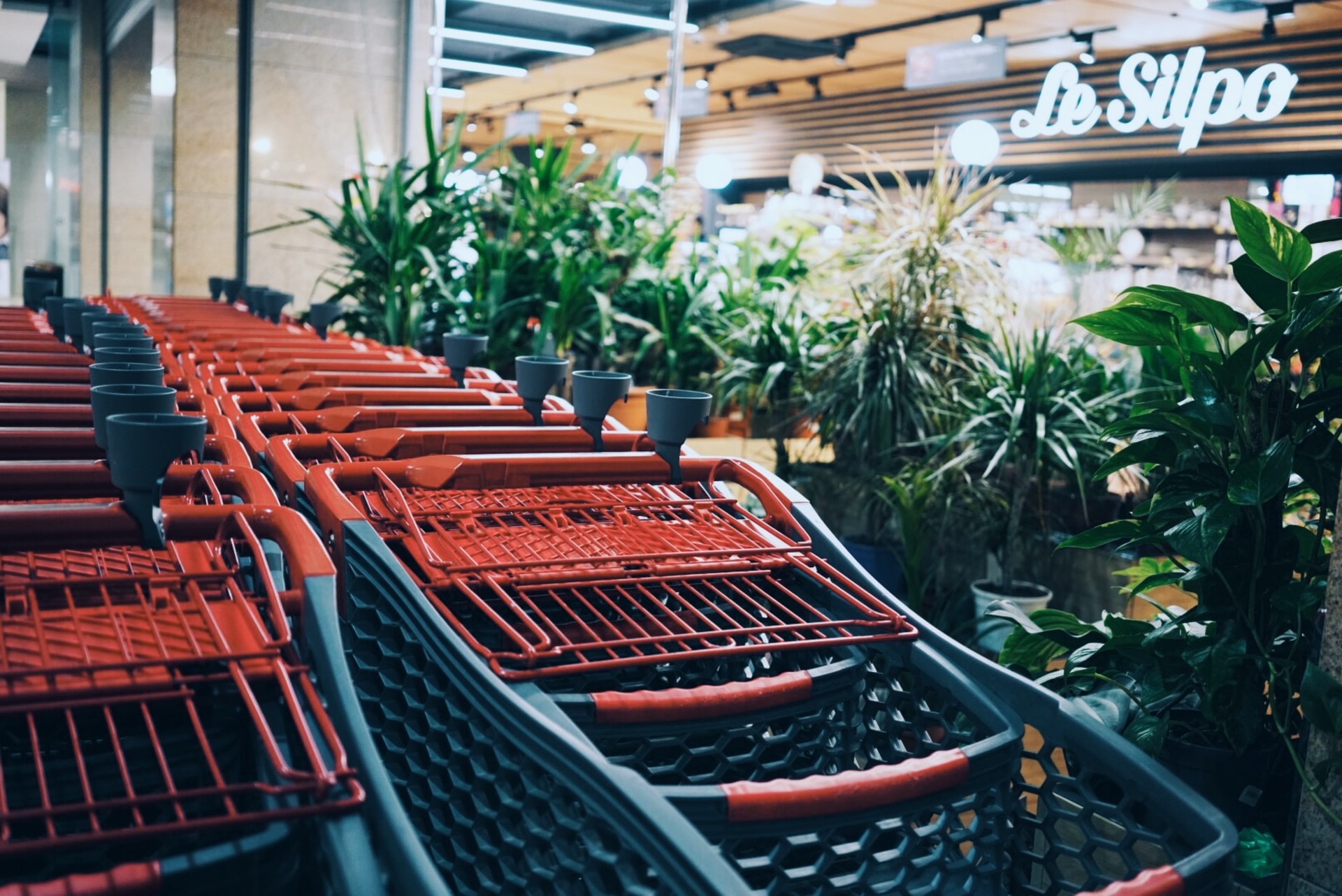 Precios internos de los alimentos con alzas interanuales